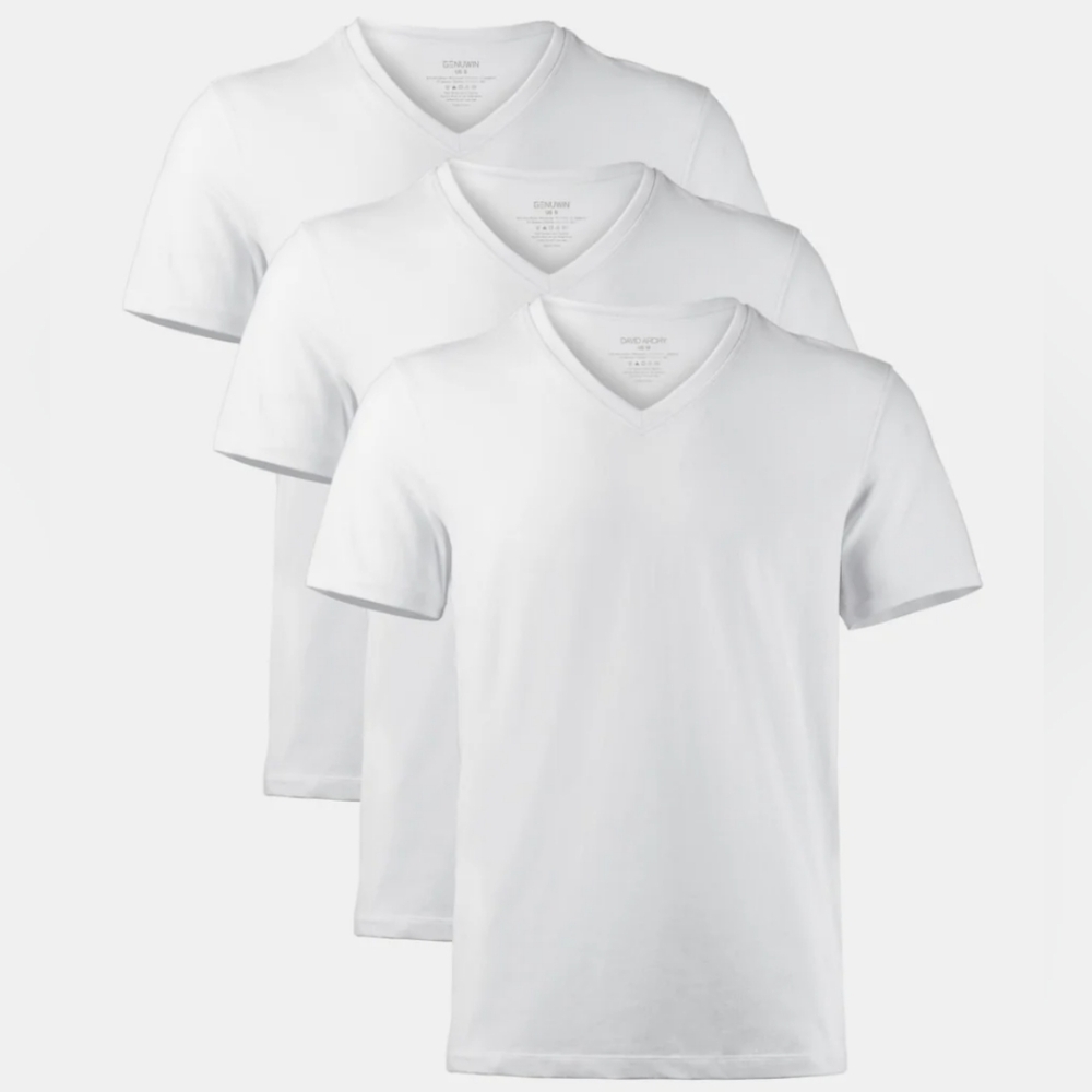 David Archy - 3 Pack Soft Micro Modal V-Neck Undershirts